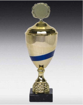 Pokal Catania