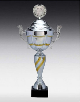 Coupe Modena
