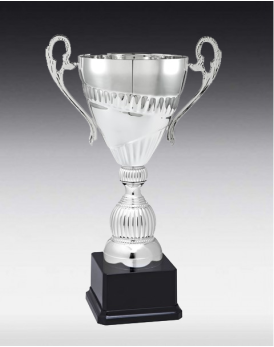 Coupe Pizol 