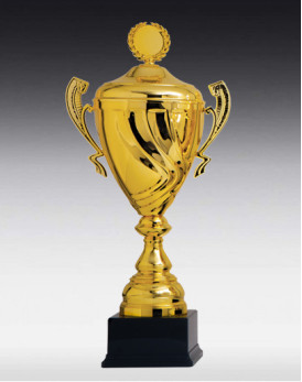 Coupe Aarau Or avec Couvercle 