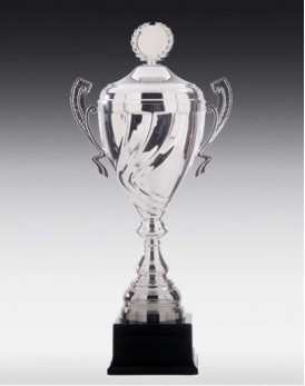 Coupe Aarau Argent avec Couvercle