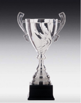 Coupe Aarau Argent sans Couvercle