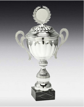 Coupe Simplon