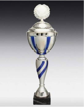 Pokal Torino