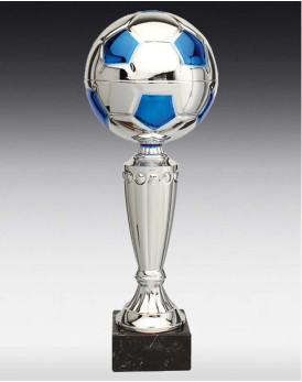 Pokal York mit Fussball