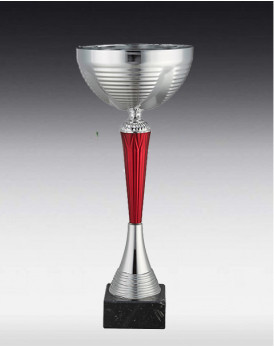 Pokal Malaga
