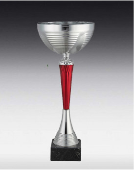 Coupe Malaga