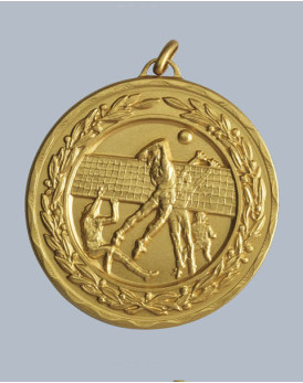 Reliefmedaille Volleyball I D:50mm 