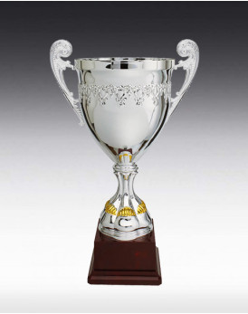Pokal Augusta